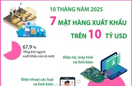 10 tháng năm 2025: 7 mặt hàng xuất khẩu trên 10 tỷ USD