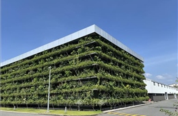 Thách thức chuyển đổi xanh khi hội nhập chuỗi cung ứng toàn cầu