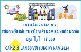 Đầu tư của Việt Nam ra nước ngoài đạt 1,1 tỷ USD