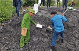 Quảng Ninh: Xử lý hành vi san gạt đất trái phép