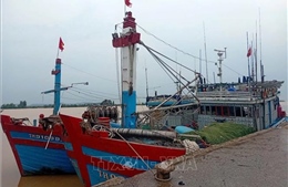 Theo dõi chặt chẽ tàu, thuyền đang hoạt động trên biển trước bão Fung-wong