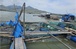 Khẩn trương khôi phục sản xuất nông nghiệp sau bão số 13