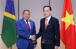 Thúc đẩy quan hệ hữu nghị và hợp tác giữa Việt Nam và Solomon
