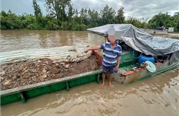 Hai người bị phạt 50 triệu đồng vì khai thác đất trái phép