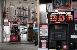 Giá dầu đi lên sau sự cố tại cảng Novorossiysk