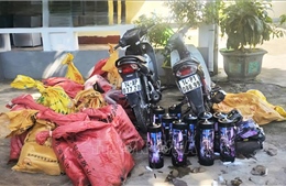 Liên tiếp phát hiện các vụ vận chuyển khí cười trái phép