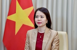 Góp phần định hình tương lai, tầm nhìn mới với khu vực Trung Đông - châu Phi