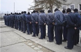 Ngoại trưởng Thổ Nhĩ Kỳ lạc quan về triển vọng đàm phán cho Ukraine