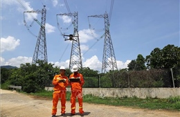 Dùng robot xử lý hiện tượng dây chống sét bị tưa trên đường dây 500kV