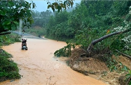 Quảng Trị: Mưa lớn gây ngập, chia cắt hơn 50 điểm, nhiều hộ mất điện