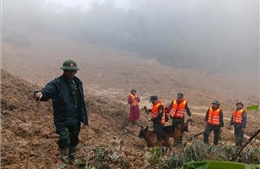 Đà Nẵng: Tìm thấy thi thể nạn nhân đầu tiên trong vụ sạt lở núi ở Hùng Sơn