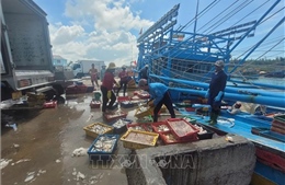 Tất cả tàu cá ở TP Hồ Chí Minh đủ điều kiện đã được cấp phép khai thác