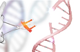 Israel và Mỹ hợp tác giải mã bộ gene người bằng AI