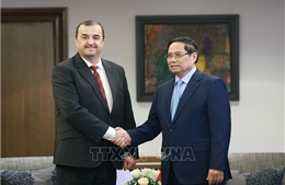 Thủ tướng Phạm Minh Chính làm việc với các Bộ, Tập đoàn của Algeria 