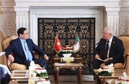 Thủ tướng Phạm Minh Chính hội kiến Chủ tịch Thượng viện Algeria