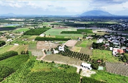 Kỳ vọng nguồn vốn xanh tạo cú hích cho chuyển đổi xanh 