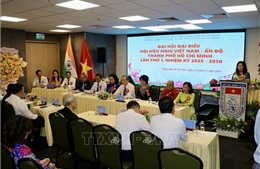 Nâng tầm đối ngoại nhân dân, thúc đẩy hợp tác chiến lược Việt Nam - Ấn Độ