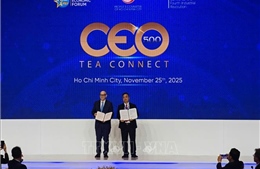 Điểm tin kinh tế Việt Nam nổi bật ngày 25/11/2025