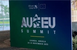 Hạt giống Luanda