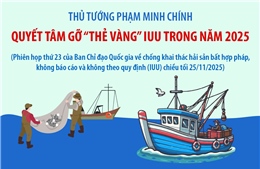 Thủ tướng Phạm Minh Chính: Quyết tâm gỡ &#39;thẻ vàng&#39; IUU trong năm 2025