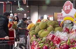 Quảng bá sản phẩm, trái cây Việt Nam tới doanh nghiệp và người tiêu dùng Trung Quốc