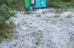 Xuất hiện băng giá, Bộ đội Biên phòng hỗ trợ người dân vùng cao phòng, chống rét