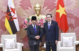 Chủ tịch Quốc hội Trần Thanh Mẫn hội kiến Quốc vương Brunei