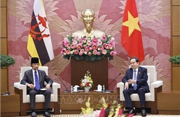 Chủ tịch Quốc hội Trần Thanh Mẫn hội kiến Quốc vương Brunei