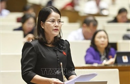 Làm rõ cơ cấu phân kỳ vốn, thứ tự ưu tiên đầu tư nguồn lực cho giáo dục