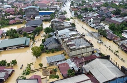 Nạn phá rừng làm gia tăng lũ lụt gây thương vong