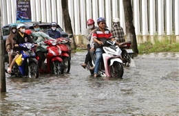 Đề phòng nguy cơ ngập do triều cường ở vùng trũng thấp ven biển Đông Nam Bộ