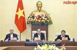 UBTV Quốc hội xem xét, thông qua Pháp lệnh Cảnh sát môi trường