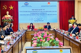 Nâng tầm đối ngoại đa phương của Việt Nam trong bối cảnh mới