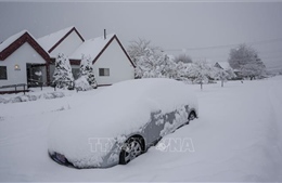 Bão tuyết kèm gió mạnh đổ bộ vào khu vực phía Đông Canada
