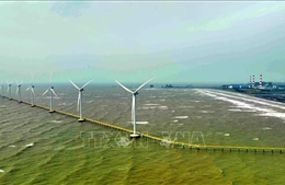 Điều chỉnh chính sách thực hiện cam kết COP26