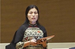 Ngân sách Trung ương giữ vai trò chủ đạo trong Chương trình mục tiêu quốc gia