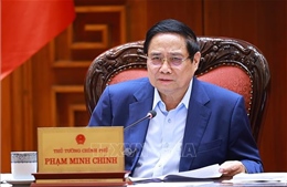 Thí điểm xây dựng các khu thương mại tự do và xây dựng Trung tâm năng lượng Dung Quất