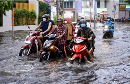 Triều cường ở ven biển Đông Nam Bộ có xu hướng tiếp tục tăng