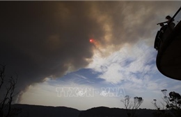 Cháy rừng nghiêm trọng tại hai bang của Australia