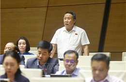 Áp dụng hoàn thuế tự động theo mức độ rủi ro