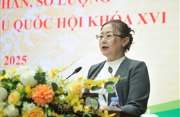 Hiệp thương lần thứ nhất giới thiệu đại biểu ứng cử tại tỉnh Lào Cai