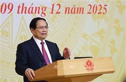 Phải thực hiện mục tiêu kép chống khai thác IUU và phát triển nghề cá bền vững