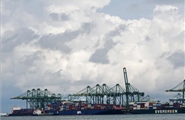 ADB nâng dự báo tăng trưởng kinh tế châu Á bất chấp rủi ro thuế quan