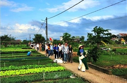 Phát triển du lịch nông thôn theo phương châm &#39;mỗi làng một sản phẩm&#39;