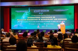 Hội thảo quốc tế về chẩn đoán phân tử trong vi sinh vật và bệnh