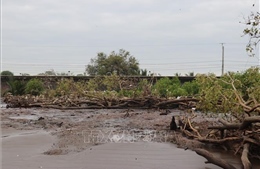 Đầu tư hơn 330 tỷ đồng chống xói lở bờ biển Gò Công