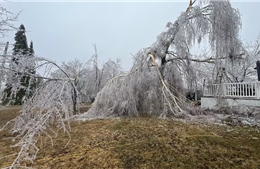 Canada: Bão lớn gây mất điện diện rộng, cảnh báo nhiệt độ xuống -45 độ C