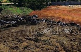 Phát hiện doanh nghiệp đổ hơn 700 tấn chất thải trái phép ra môi trường