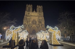 Lễ hội ánh sáng Reims - khi di sản bừng sáng giữa đêm