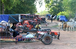 ASEAN tìm giải pháp cho căng thẳng biên giới Campuchia - Thái Lan